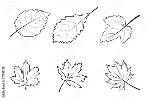 Silhouette leaves set autumn on white background isolated, vector