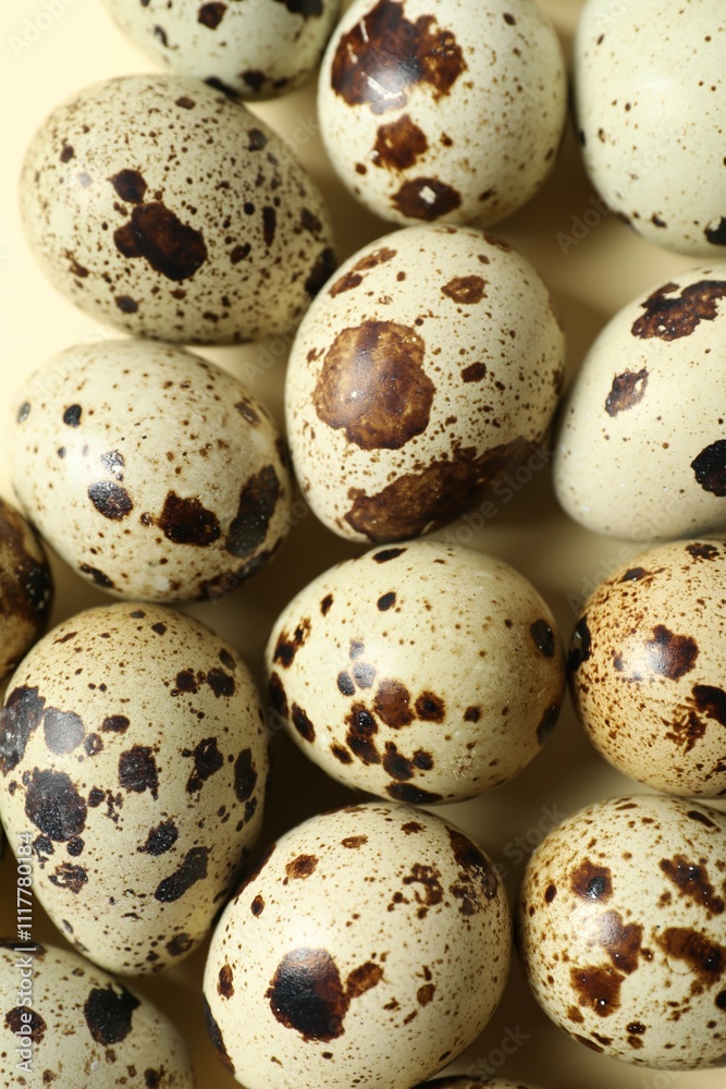 Quail eggs on color background Quail eggs on color background