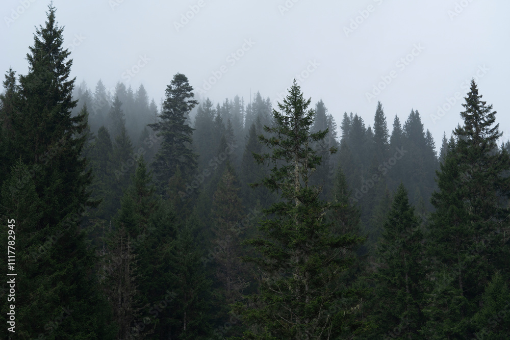 These photos, offering both the serenity and magic of nature These photos, offering both the serenity and magic of nature