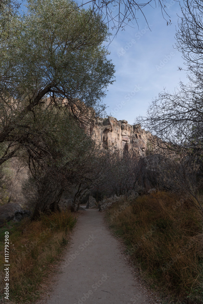 These photos, offering both the serenity and magic of nature These photos, offering both the serenity and magic of nature