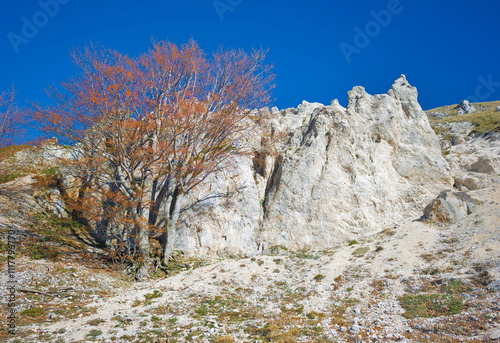 Rieti (Italy) - The summit of Monte di Cambio, beside Terminillo, with the alpinistic rock way named Valle Lunare. Over 2000 meters, Monte di Cambio is one of hightest peak in Monti Reatini mountain photo