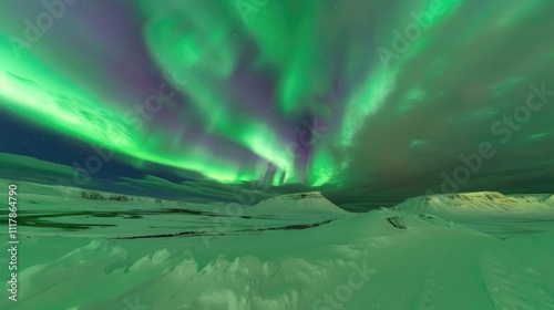 A stunning shot of Northern Lights dancing over a snow-covered landscape, with shades of green and purple lighting up the sky photo