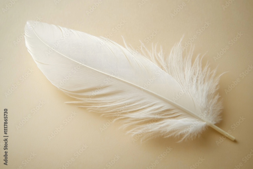 Obraz premium A single white feather lying flat on a table surface