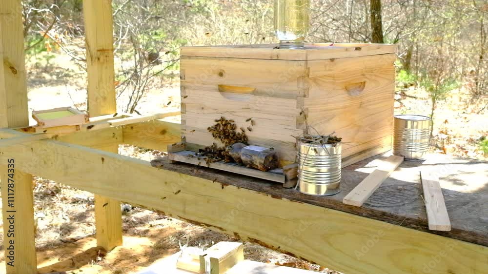 Super slow motion of honeybees swarming around hive entrance as some fly out and in after mowing new family and its queen into this beehive Super slow motion of honeybees swarming around hive entrance as some fly out and in after mowing new family and its queen into this beehive