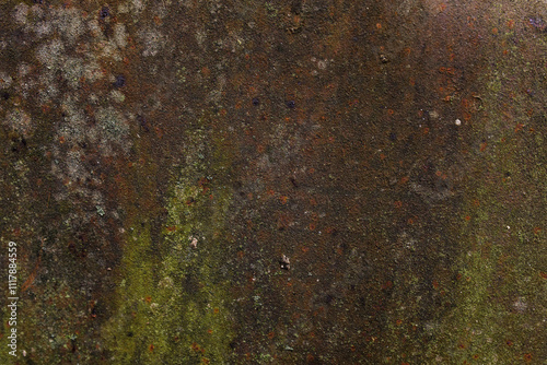 a surface covered with moss and possibly mold. It has a heterogeneous texture with patches of green, brown and gray. photo