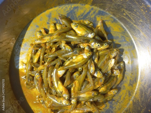 Haldi namak ka mishran kiya hua  choti machli,fresh pond small fish of steel pot,Lots of small fish in steel pot photo