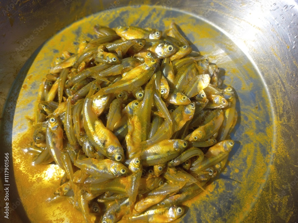Haldi namak ka mishran kiya hua choti machli,fresh pond small fish of ...