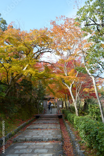 Wallpaper Mural 奥嵯峨　化野念仏寺参道の紅葉　京都市右京区嵯峨 Torontodigital.ca
