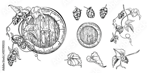 Hops on vine and wooden barrel black white vector graphic illustration isolated. Cones hop, humulus plants, leaves, beer barrel monochrome painted set for packaging, beer festival, label, menu.