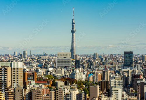 Photography Tokyo skyline with Skytree skyscraper, Japan