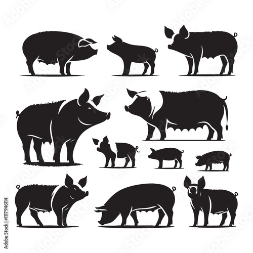 Silhouette set of pig on white background