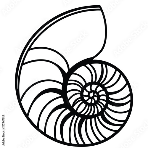 a black and white line drawing of a nautilus shell