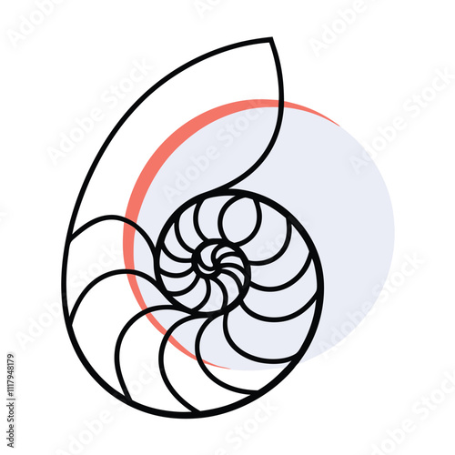 a black and white line drawing of a nautilus shell