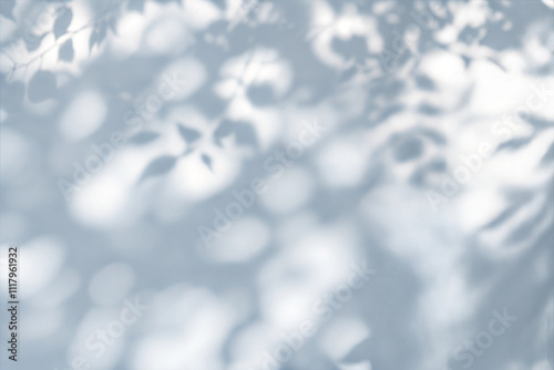 Abstract Tree Leaves Shadow on White Wall - Natural Minimalist Design