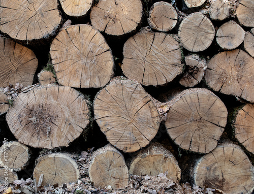 Obraz na płótnie pile of sawn pine trunks. End view. w salonie