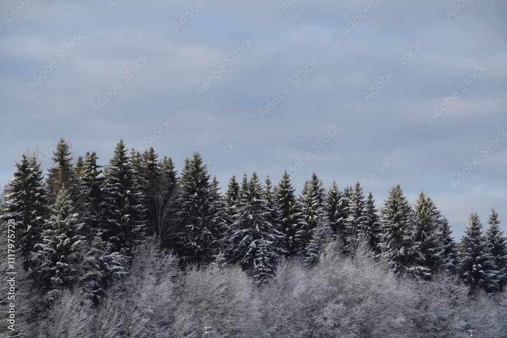 This is a snowy landscape in late autumn day. There is a forest and the sky in the picture. This is a snowy landscape in late autumn day. There is a forest and the sky in the picture.