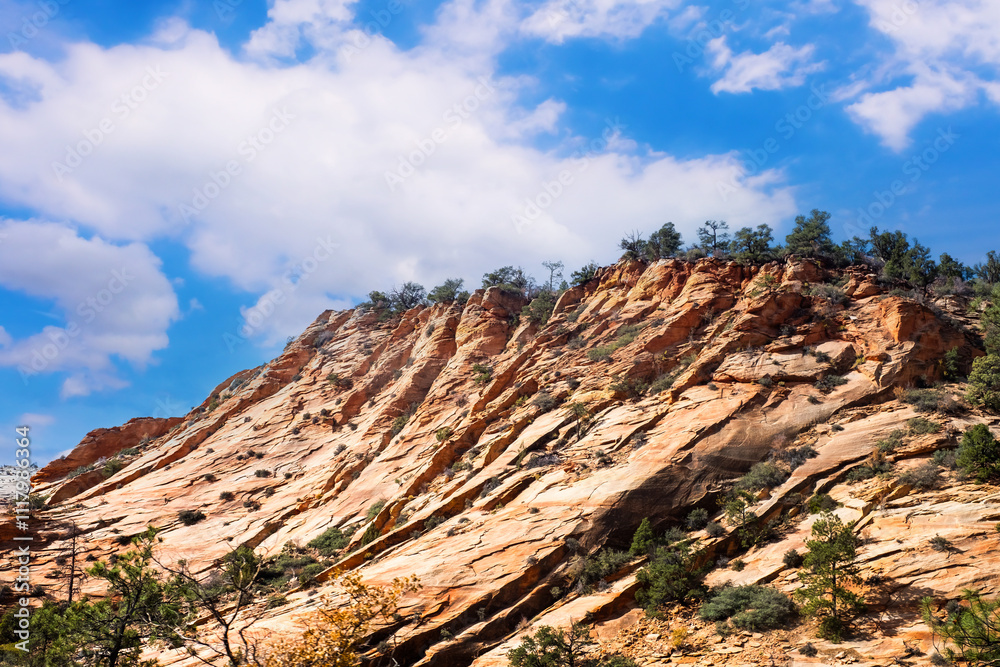 Fototapeta premium View from road trip red rocks in Utah, USA