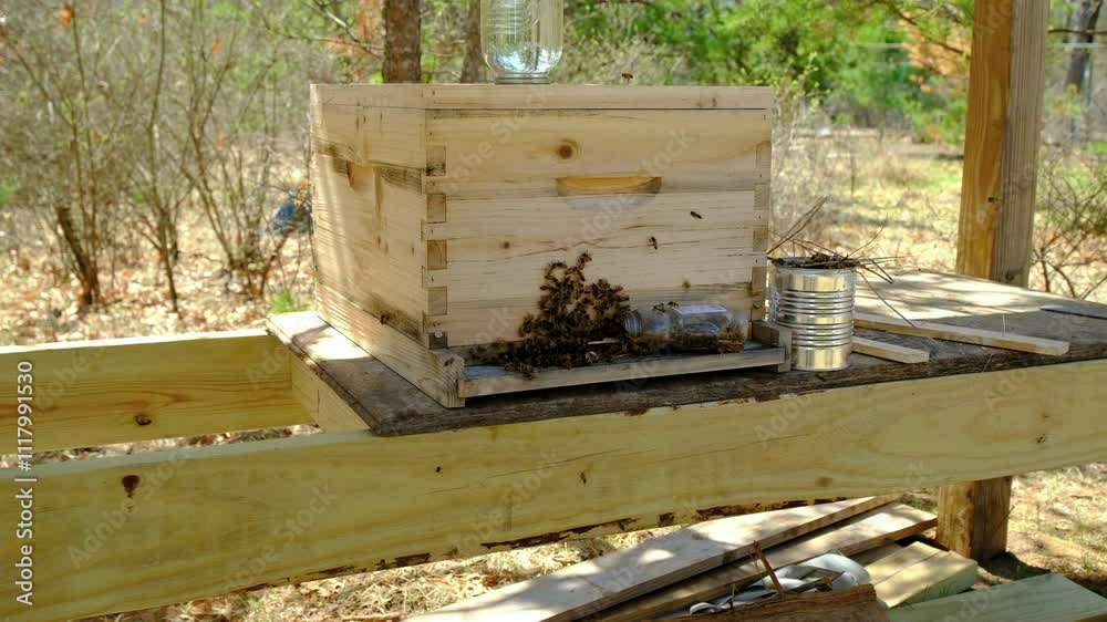 Slow motion shot as lot of bees swarming or flying around entrance to half disassembled beehive after transferring queen and new family into it Slow motion shot as lot of bees swarming or flying around entrance to half disassembled beehive after transferring queen and new family into it
