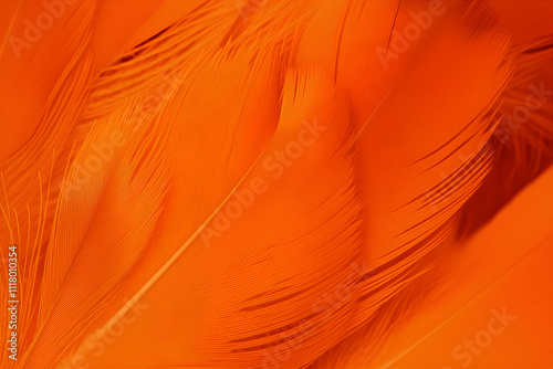 Macro monochrome orange feather pattern. Background for presentation and design.