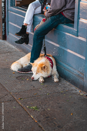 Relaxing Urban Scene with People Sitting on a City Window Sill and a Calm Dog Lying on the Pavement in a Busy Street Corner