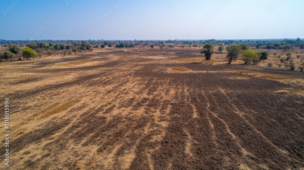 Fototapeta premium Burnt African Savanna Landscape