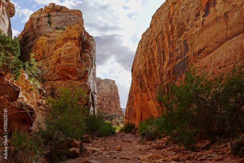 Hike along the Capitol Gorge Trail in Capitol Reef National Park