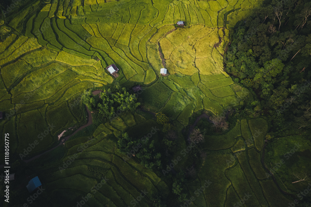 Fototapeta premium Green fields of agricultural land on a mountain in Thailand