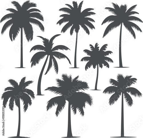 palm trees silhouettes