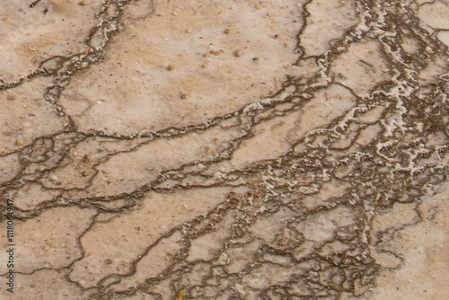 Patterns formed in geyserite from hot spring, Yellowstone National Park photo