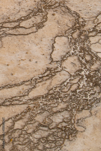 Patterns formed in geyserite from hot spring, Yellowstone National Park photo