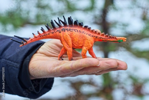 Fototapeta Naklejka Na Ścianę i Meble -  one small plastic toy orange children's black spikes prehistoric period figure long neck dinosaur four legs in hand of man day outdoors