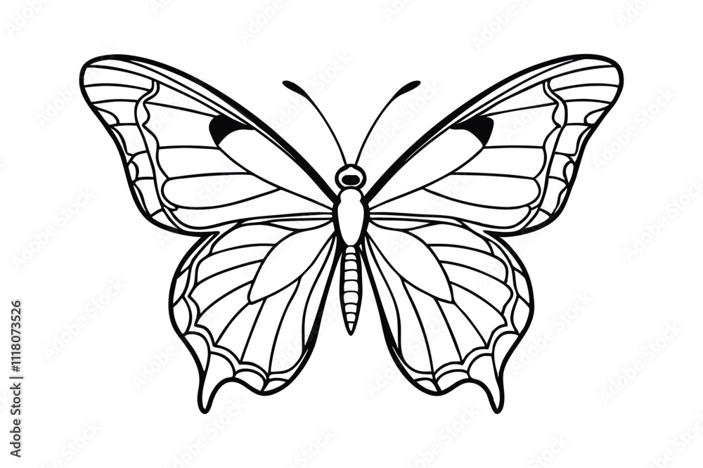 Butterfly line art drawing vector Butterfly line art drawing vector