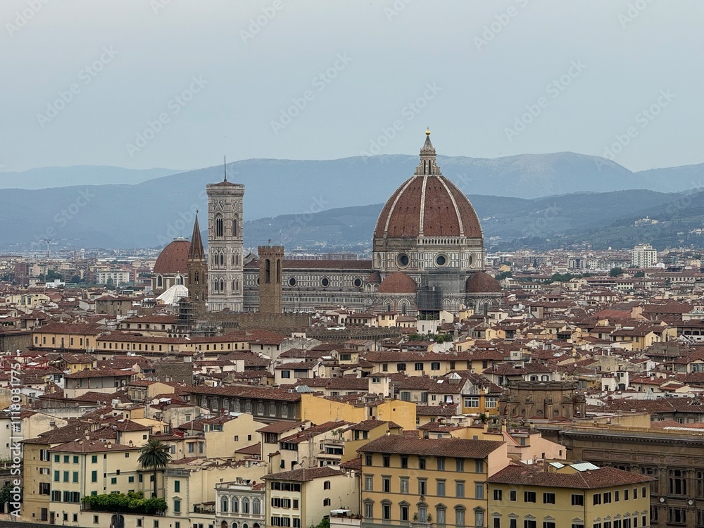 Fototapeta premium view of Florence