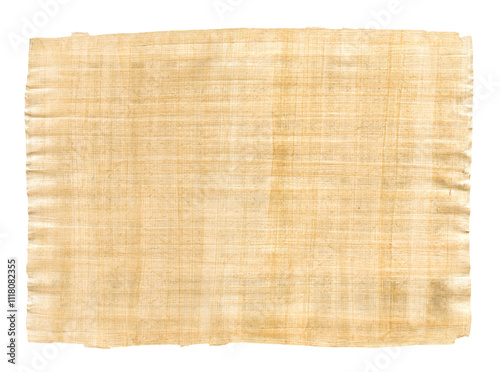 Old papyrus texture isolated on transparent background