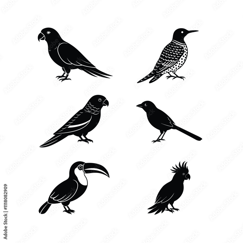 Fototapeta premium 6 difference birds vector such as Cockatoo,Toucan,Rainbow Lorikeet ,etc