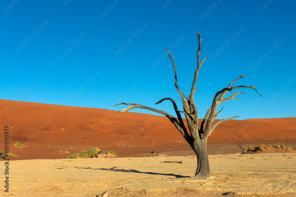 Deadvlei (or Dead Vlei), dead tree and sand dunes in Sossusvlei, Namib Naukluft national park, Namibia scenic landscape, Africa Deadvlei (or Dead Vlei), dead tree and sand dunes in Sossusvlei, Namib Naukluft national park, Namibia scenic landscape, Africa