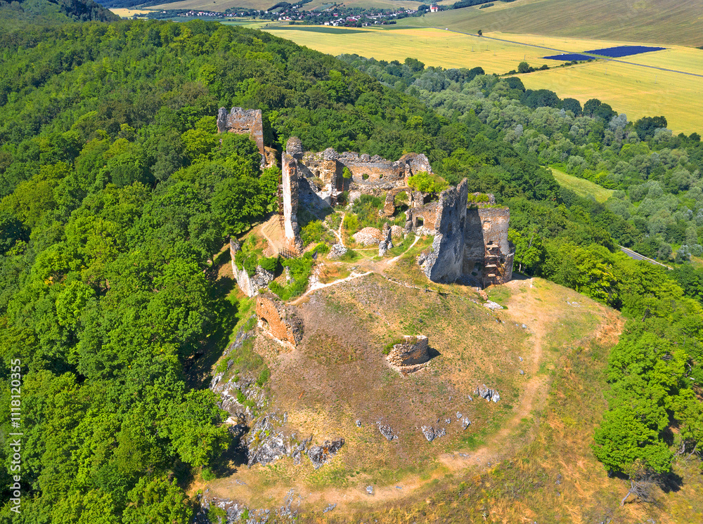 Ruins of the castle Cicava, Slovakia, Europe