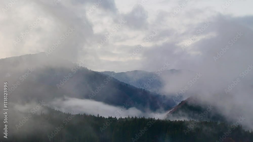 霧に包まれた山 雨に濡れた森林 空撮 自然風景 霧に包まれた山 雨に濡れた森林 空撮 自然風景