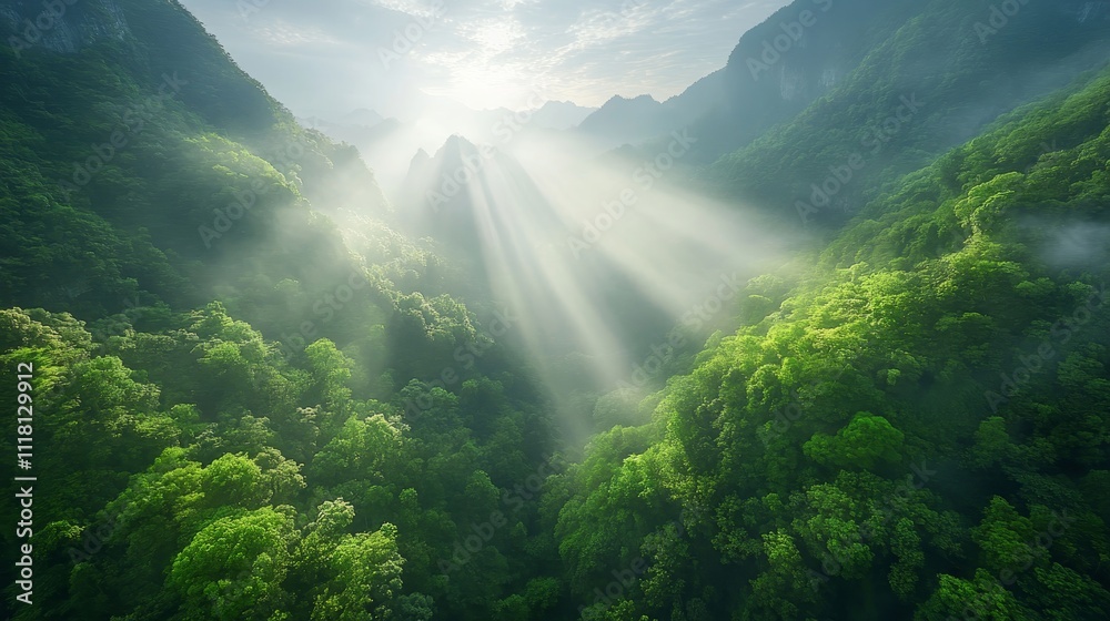 The sun is shining through the trees, creating a beautiful The sun is shining through the trees, creating a beautiful