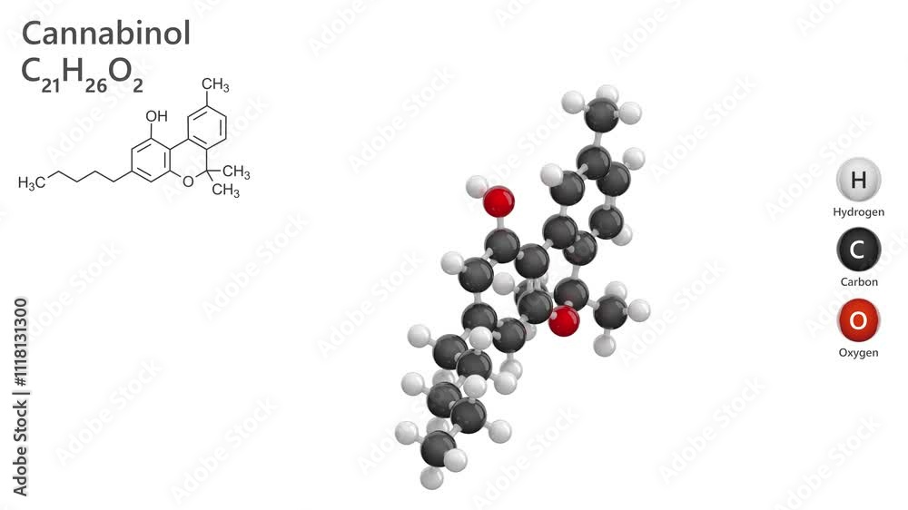 Cannabinol. Drug. Animated 3D model of a molecule. Molecular formula: C21H26O2. Chemical model: Ball and stick. White background. 3D rendering. Seamless loop. Cannabinol. Drug. Animated 3D model of a molecule. Molecular formula: C21H26O2. Chemical model: Ball and stick. White background. 3D rendering. Seamless loop.