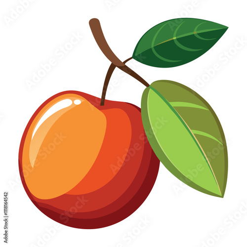 Print jujube fruit vector