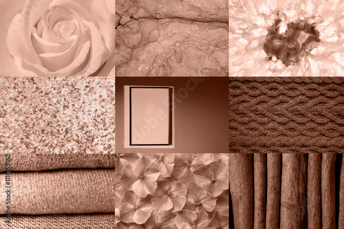 Tableau sur toile brown mocha color of 2025 year