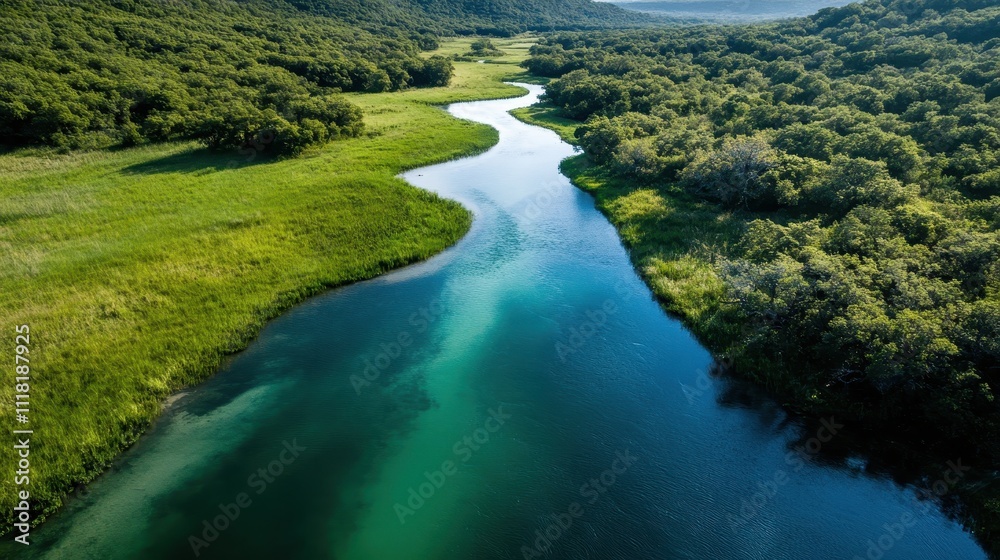 This peaceful river flows gracefully through vibrant green vegetation, creating a tranquil atmosphere. The natural beauty captures a serene and harmonious landscape. This peaceful river flows gracefully through vibrant green vegetation, creating a tranquil atmosphere. The natural beauty captures a serene and harmonious landscape.