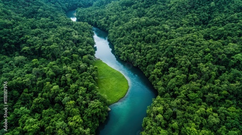 This image highlights the richness of a dense forest encircling a gentle river. Natural harmony and the lush environment are key visual elements.