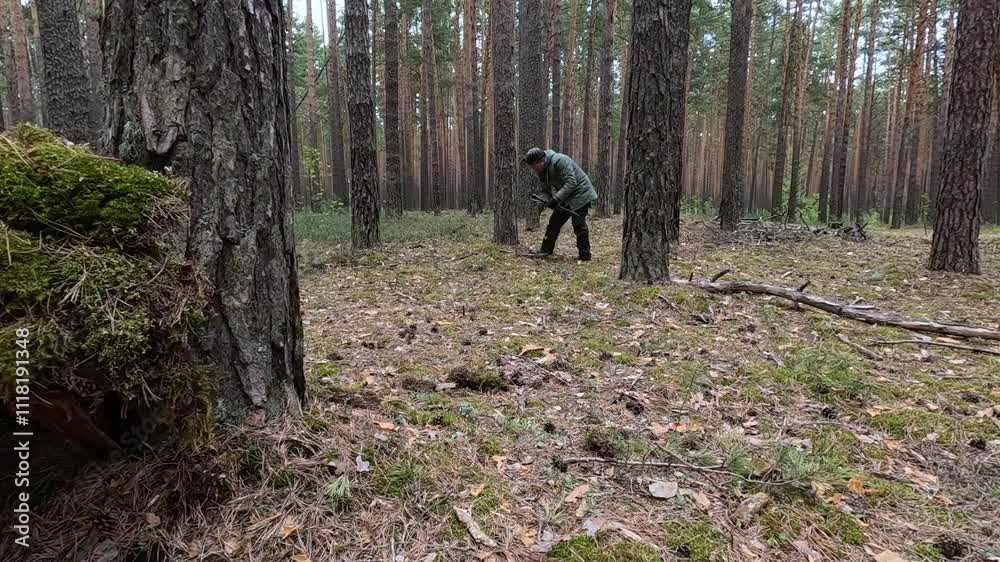 A tourist prepares firewood for a fire in the forest A tourist prepares firewood for a fire in the forest