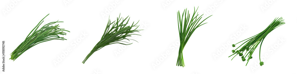 Fresh green chives arranged neatly, showcasing vibrant color and texture, perfect for culinary use and enhancing dishes. Fresh green chives arranged neatly, showcasing vibrant color and texture, perfect for culinary use and enhancing dishes.