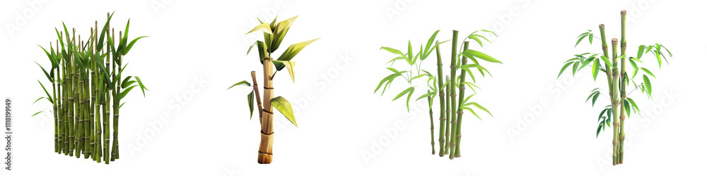 Obraz premium A collection of vibrant, green plants showcasing their unique shapes and textures, perfect for nature-themed projects.