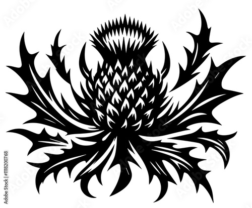 Thistle Flower Vector Cutout | Stylized Isolated Design for Graphic