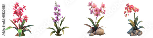 A beautiful collection of vibrant orchids showcasing diverse colors and delicate petals, perfect for floral design and decoration.