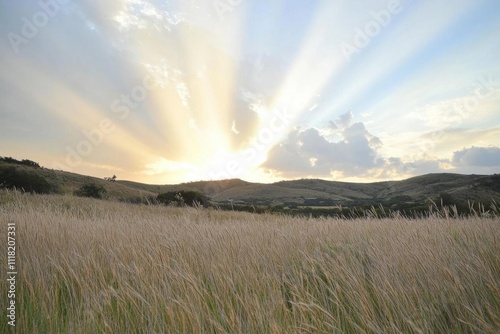 A serene landscape at sunset, with sun rays illuminating a grassy field.